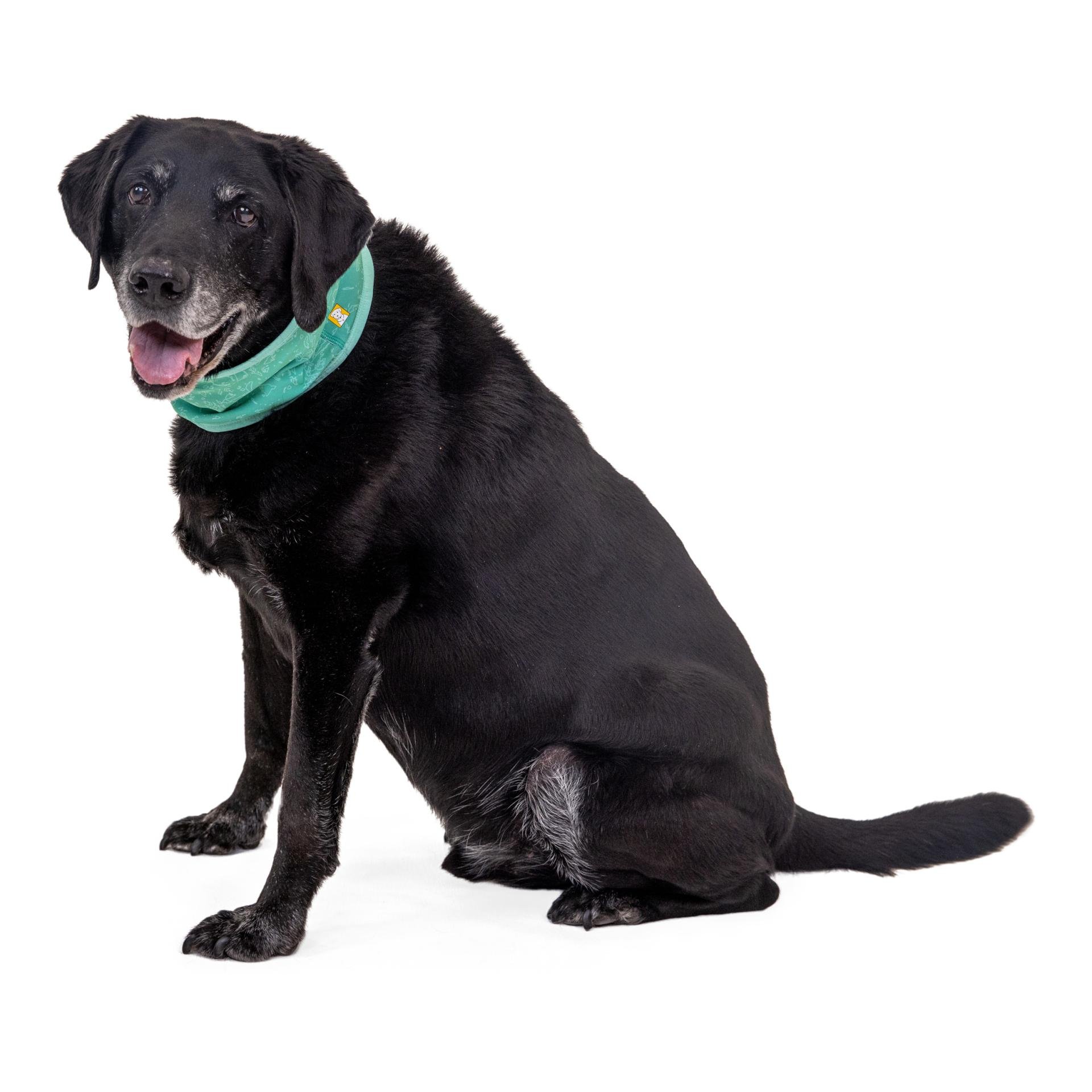 Swamp Cooler™ Halstuch