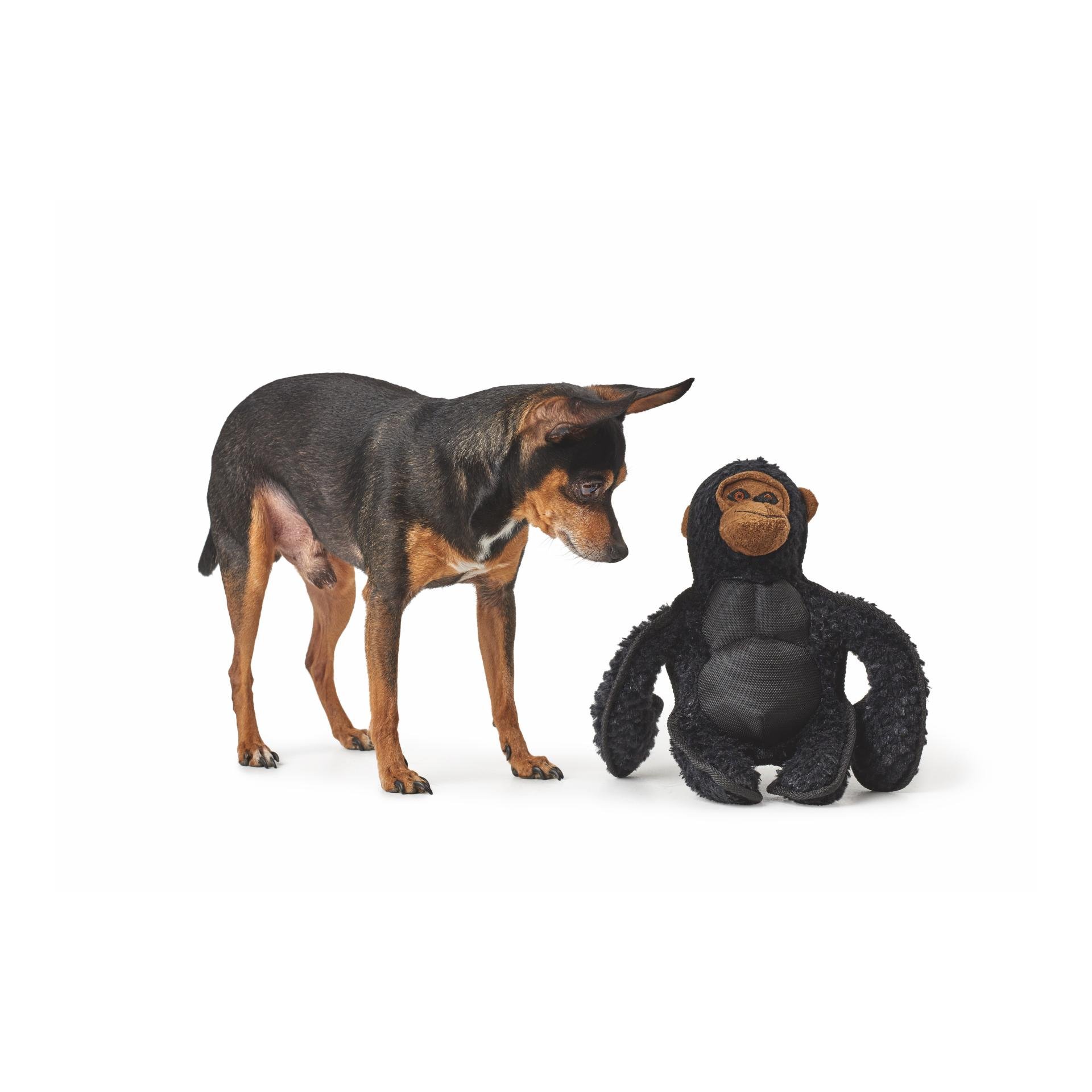 Jouet pour chien Tough Kamerun