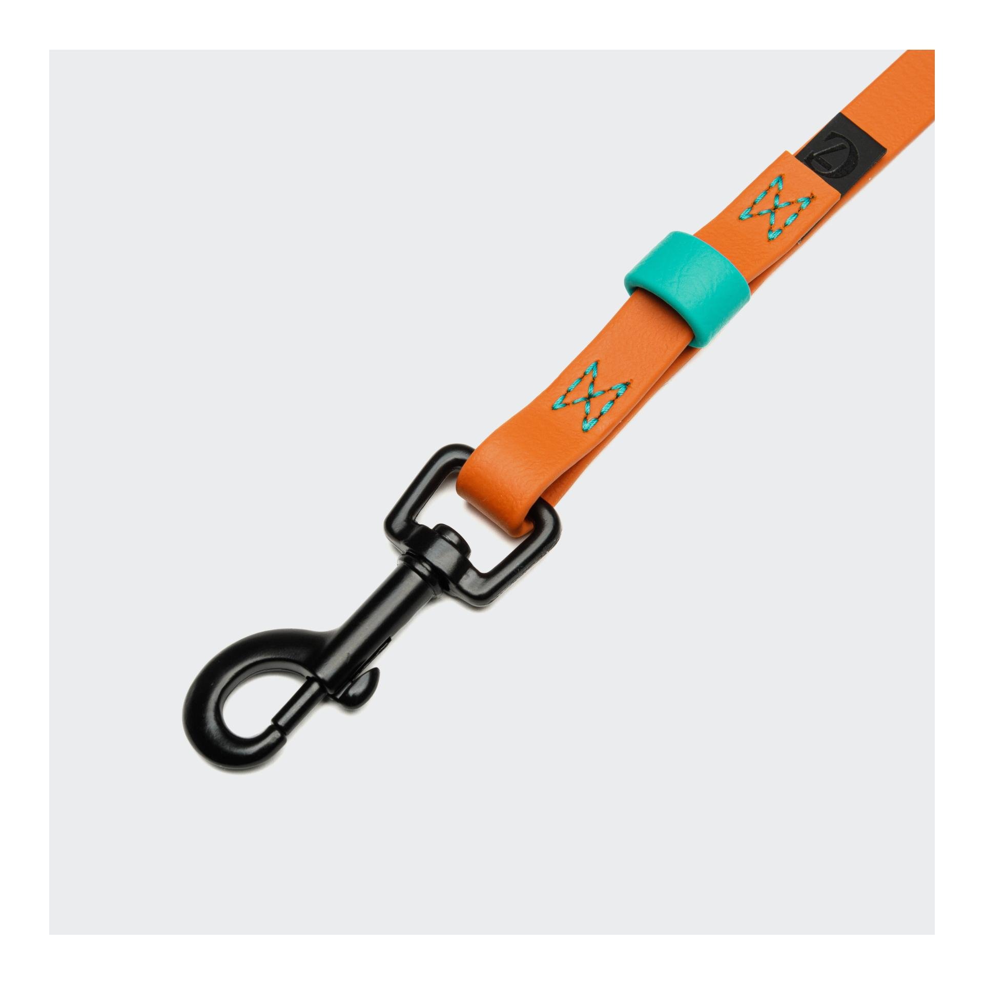 Laisse à pister Ipanema