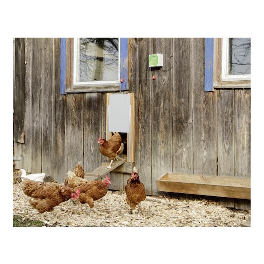 Kerbl Hühnertür inkl. Schiebetür 220 x 330 mm - Grau