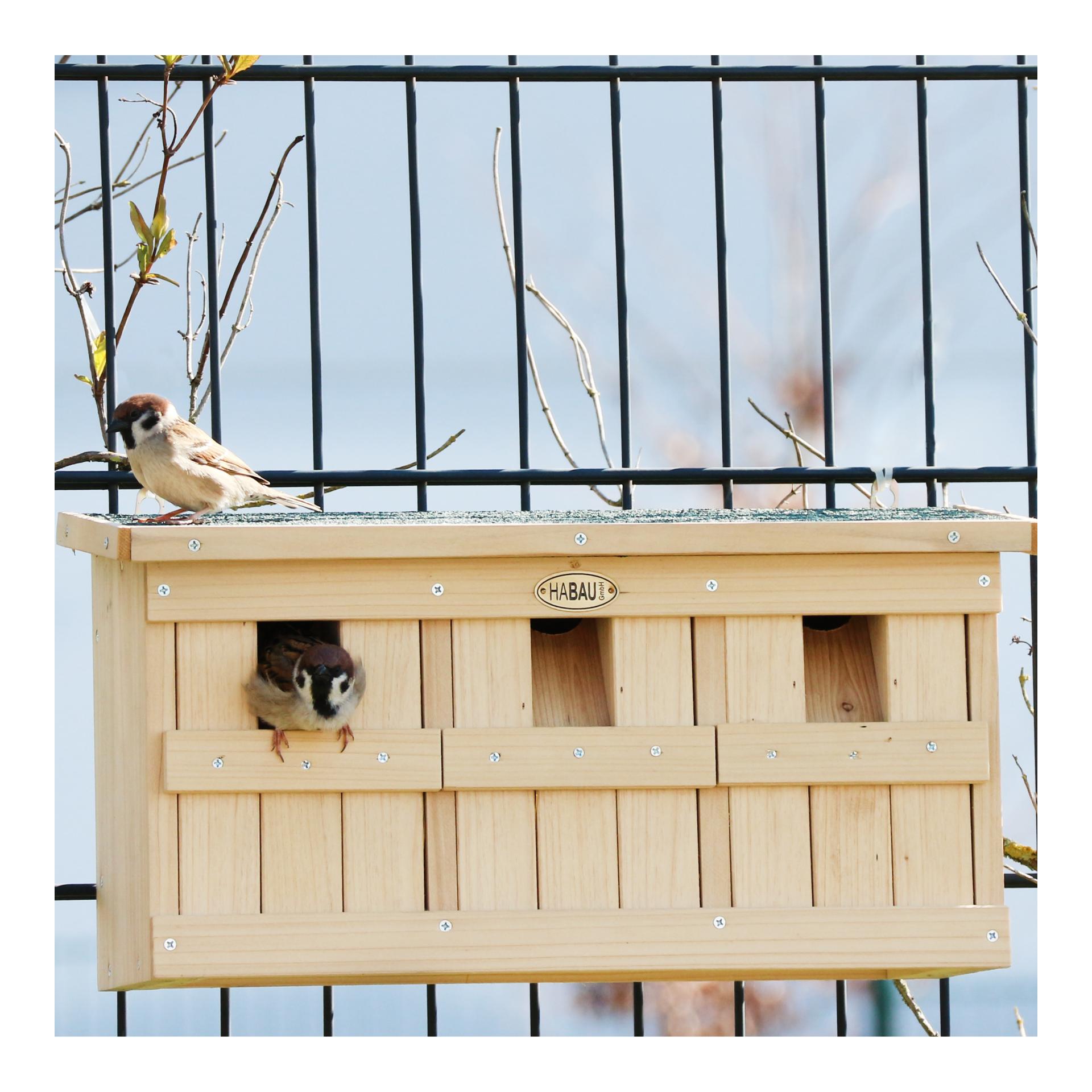 Maison des moineaux avec 3 chambres de reproduction 