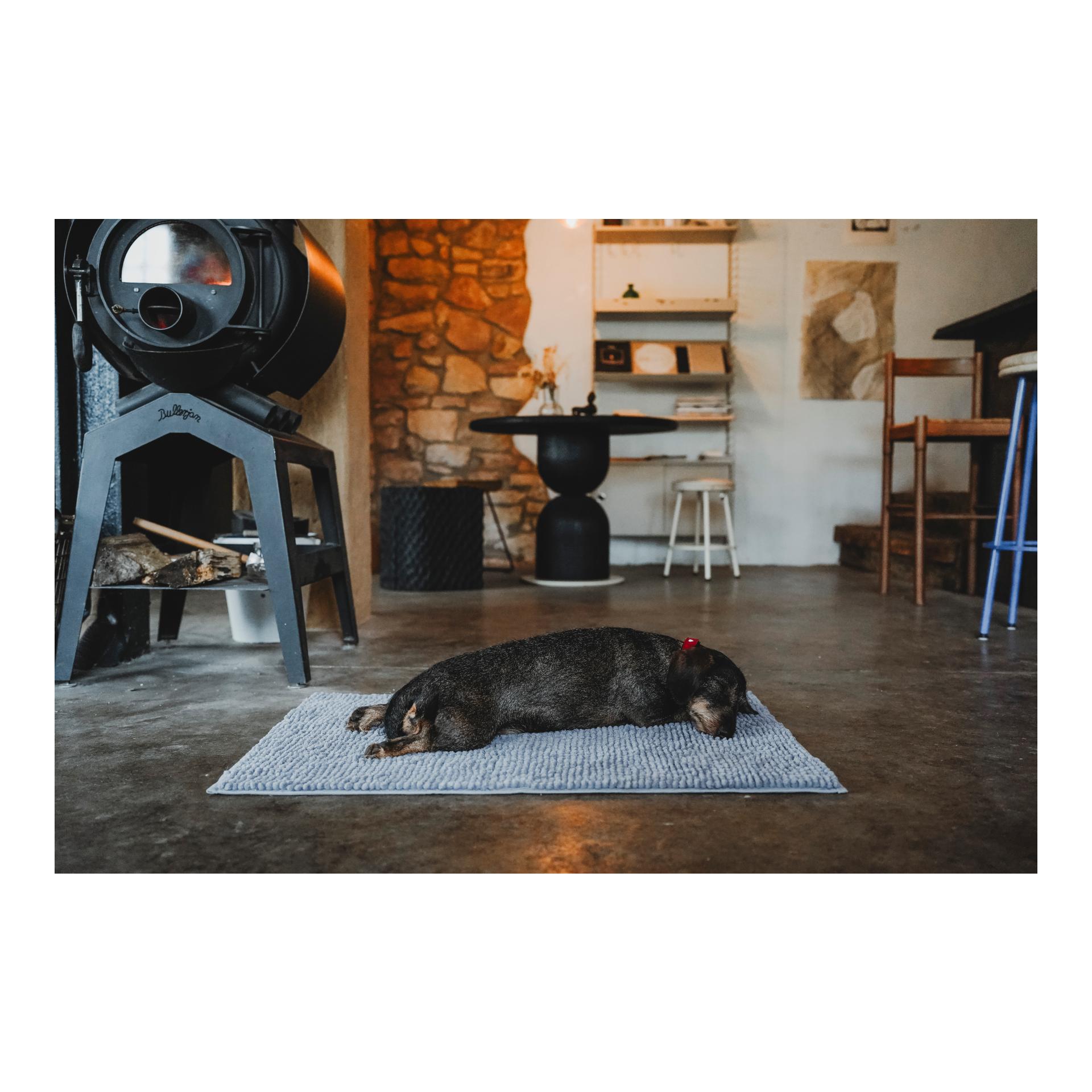 Schmutzfang-Hundematte Waterloo