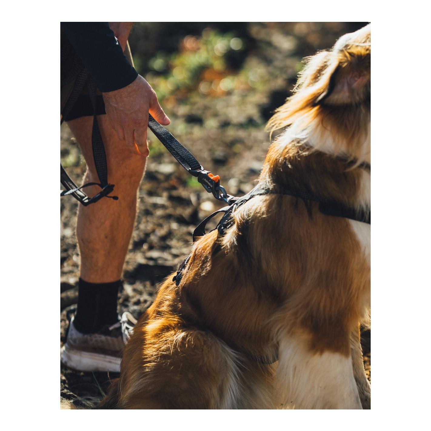 Ruffwear Ridgeline™ Hundegeschirr
