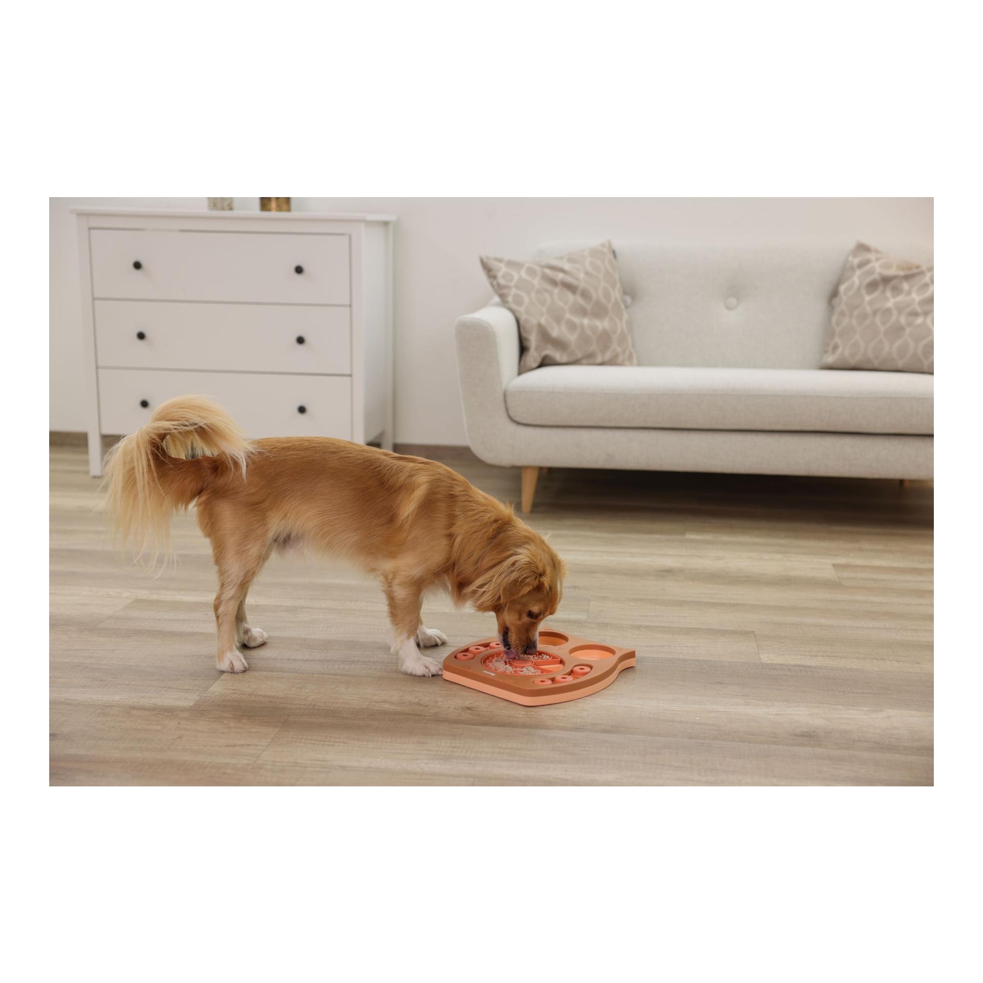 Denk- und Lernspielzeug Owl