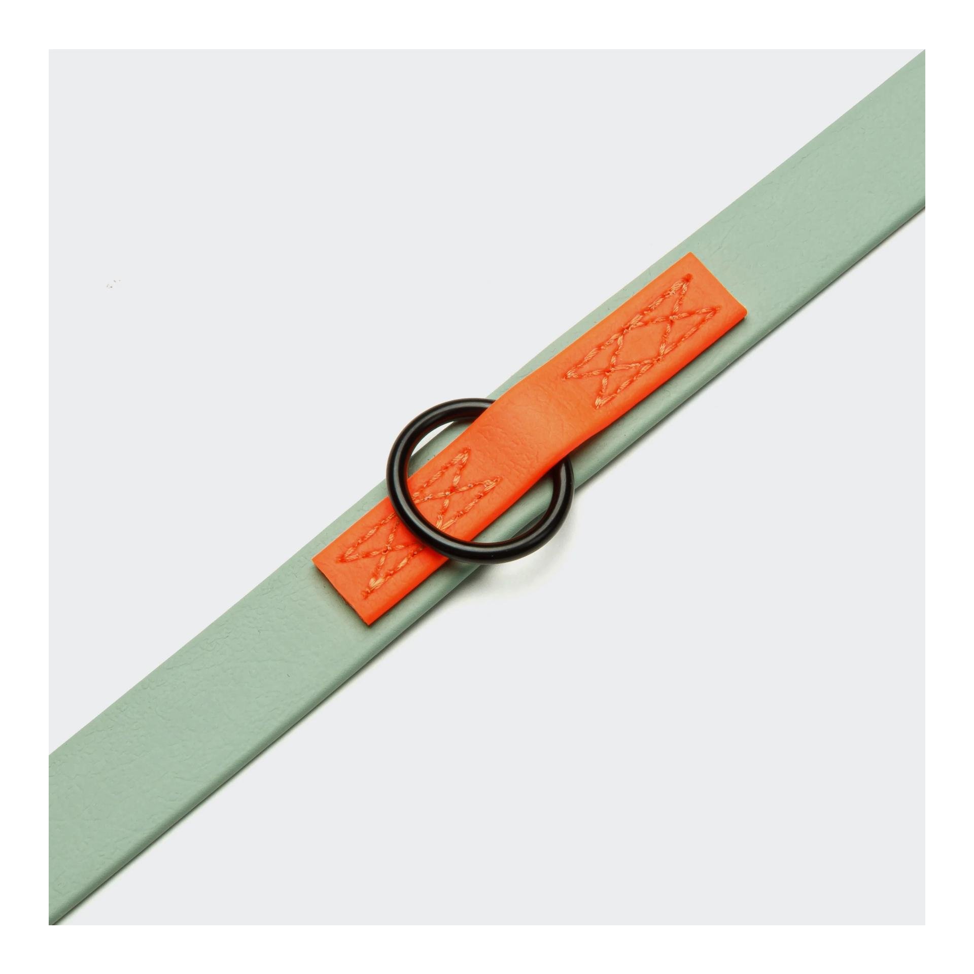 Cloud 7 Hundeleine verstellbar BioThane Ipanema