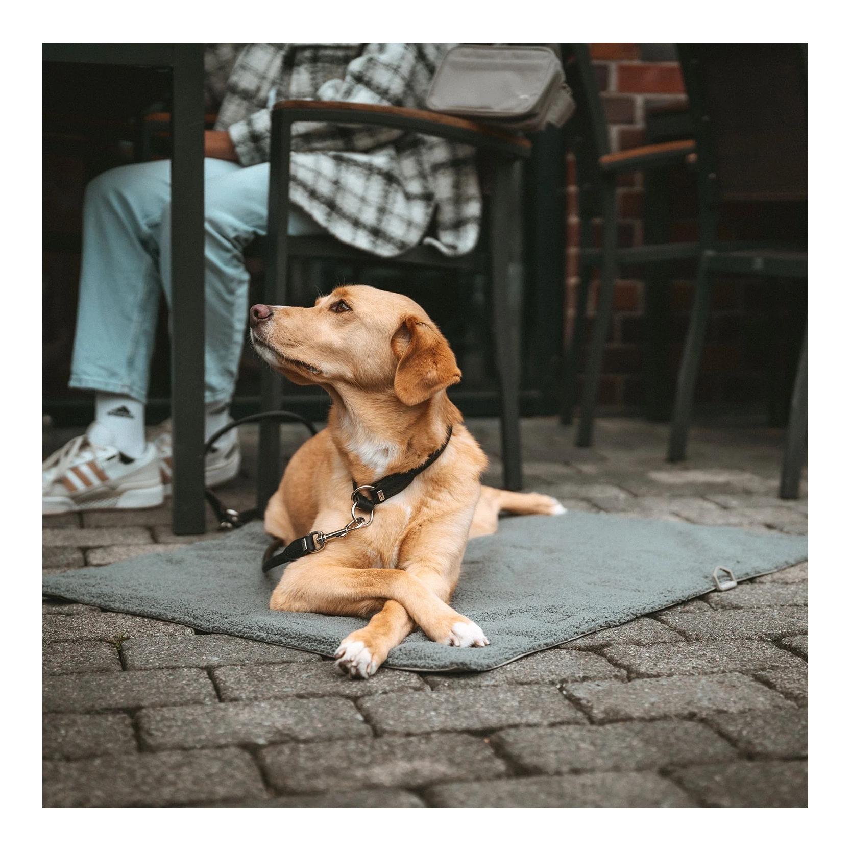 Couverture de voyage pliable pour chiens Seoul