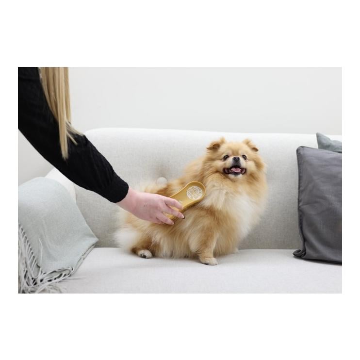 Hundebürste Dog Soft