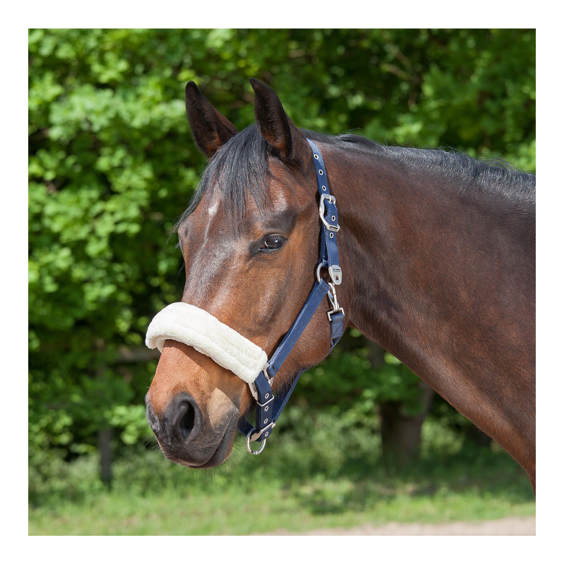 Nasen- oder Genickschoner - beige