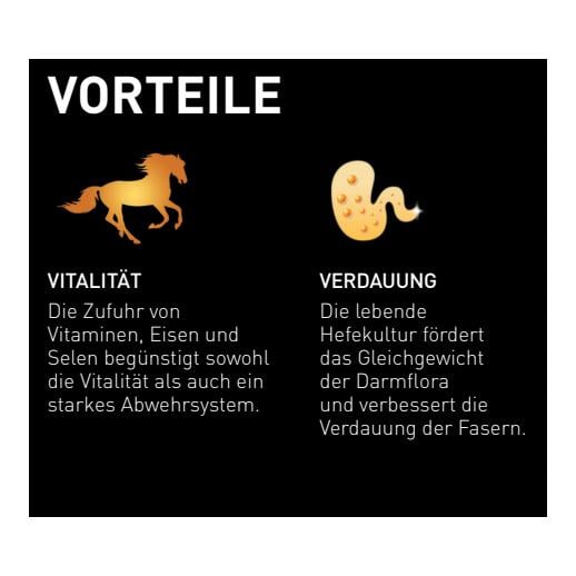 granovit Horse Pure Care - Getreidefreies Pferdefutter in Würfeln