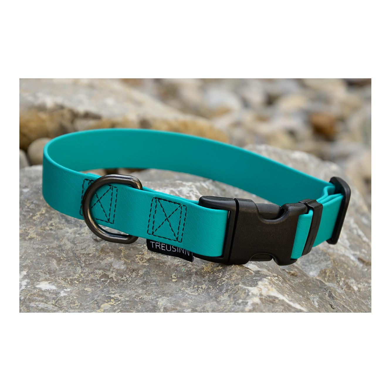 Image of Treusinn. Hundehalsband Biothane STAY - petrol bei Hauptner.ch