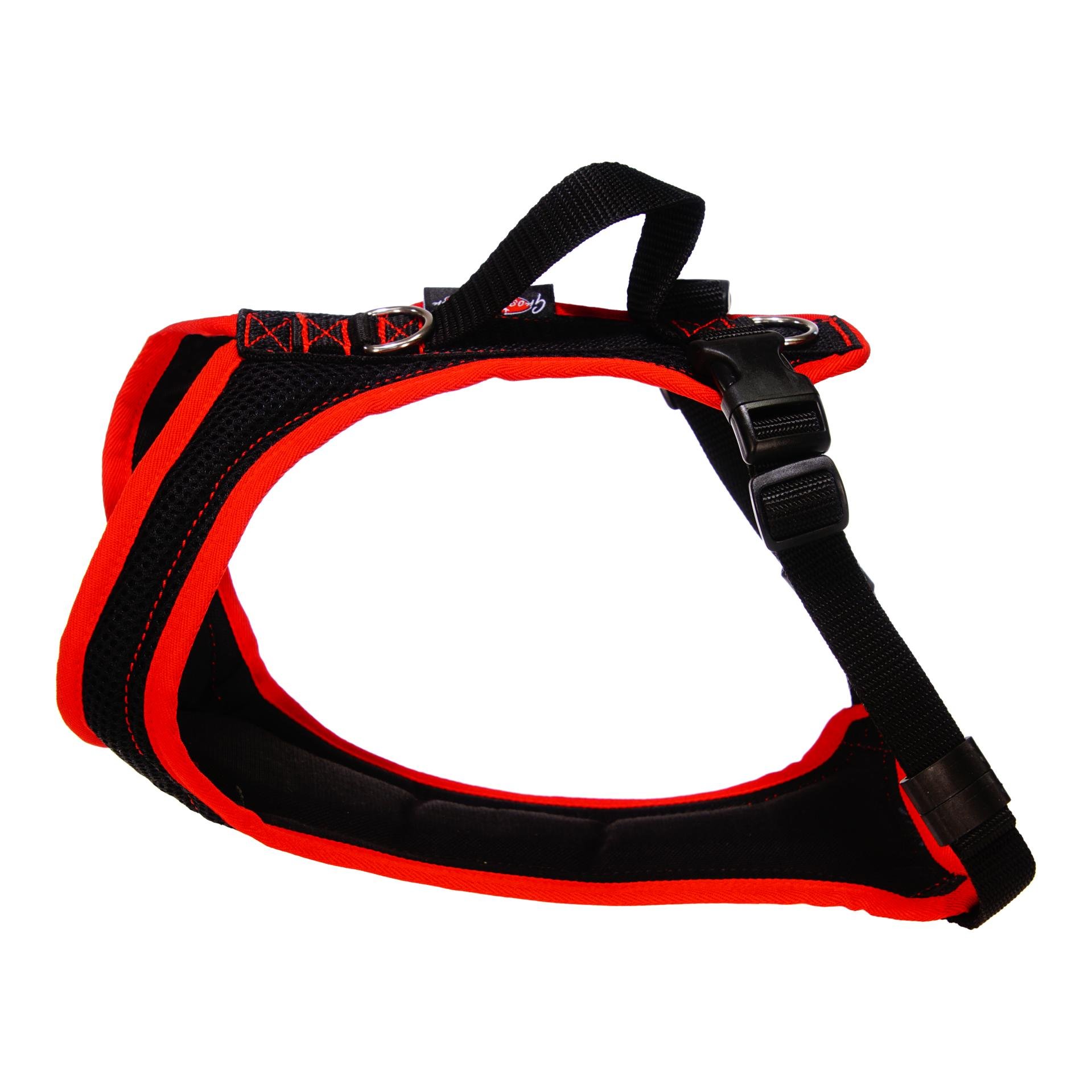 Dogs Fun Run Hundegeschirr DACKEL