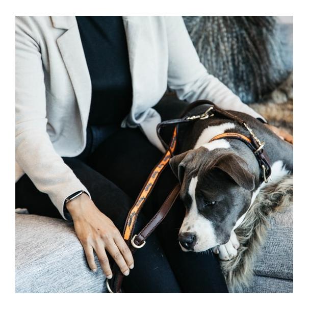 Hundeleine Handgemacht Pearls - orange/schwarz