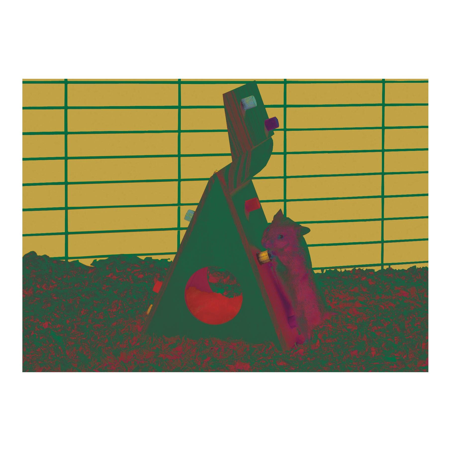 Karlie Wonderland Kletterwand