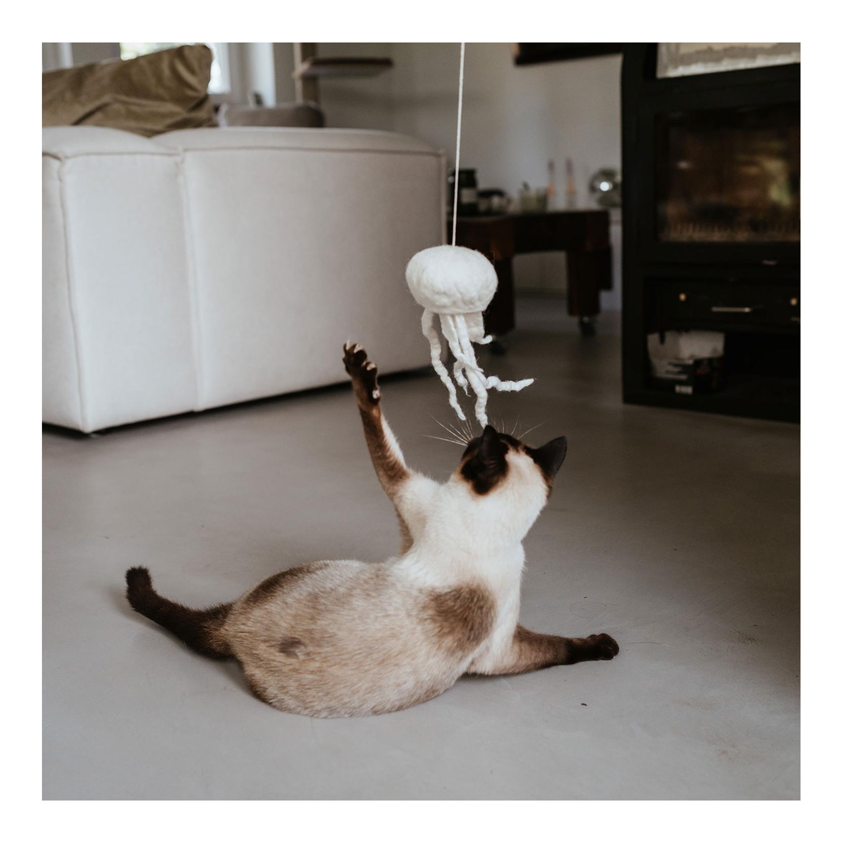 Katzenspielzeug Kwalle Karl 