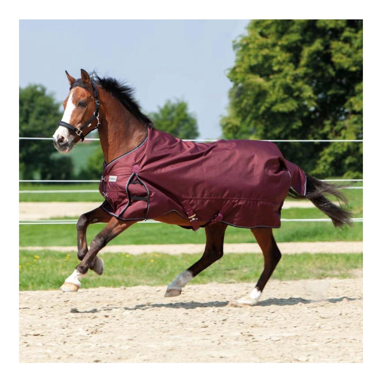 Image of Kavalkade Outdoordecke Alaska Fleece - bordeaux bei Hauptner.ch