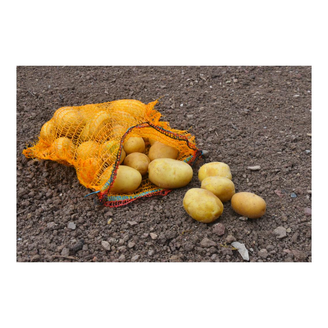 Kartoffelsäcke / Obstsäcke mit Zugband - 100 Stück