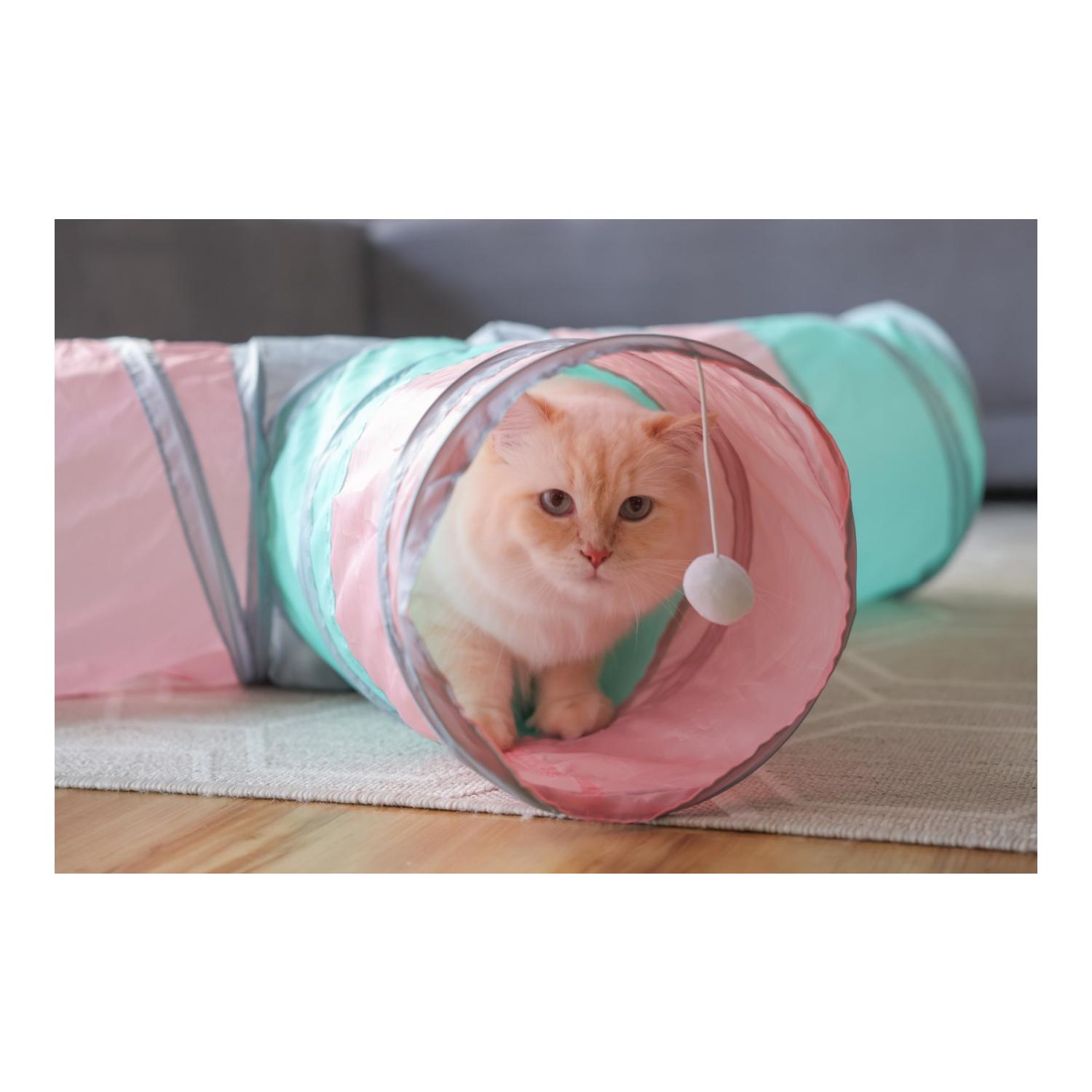 Katzentunnel Triangle