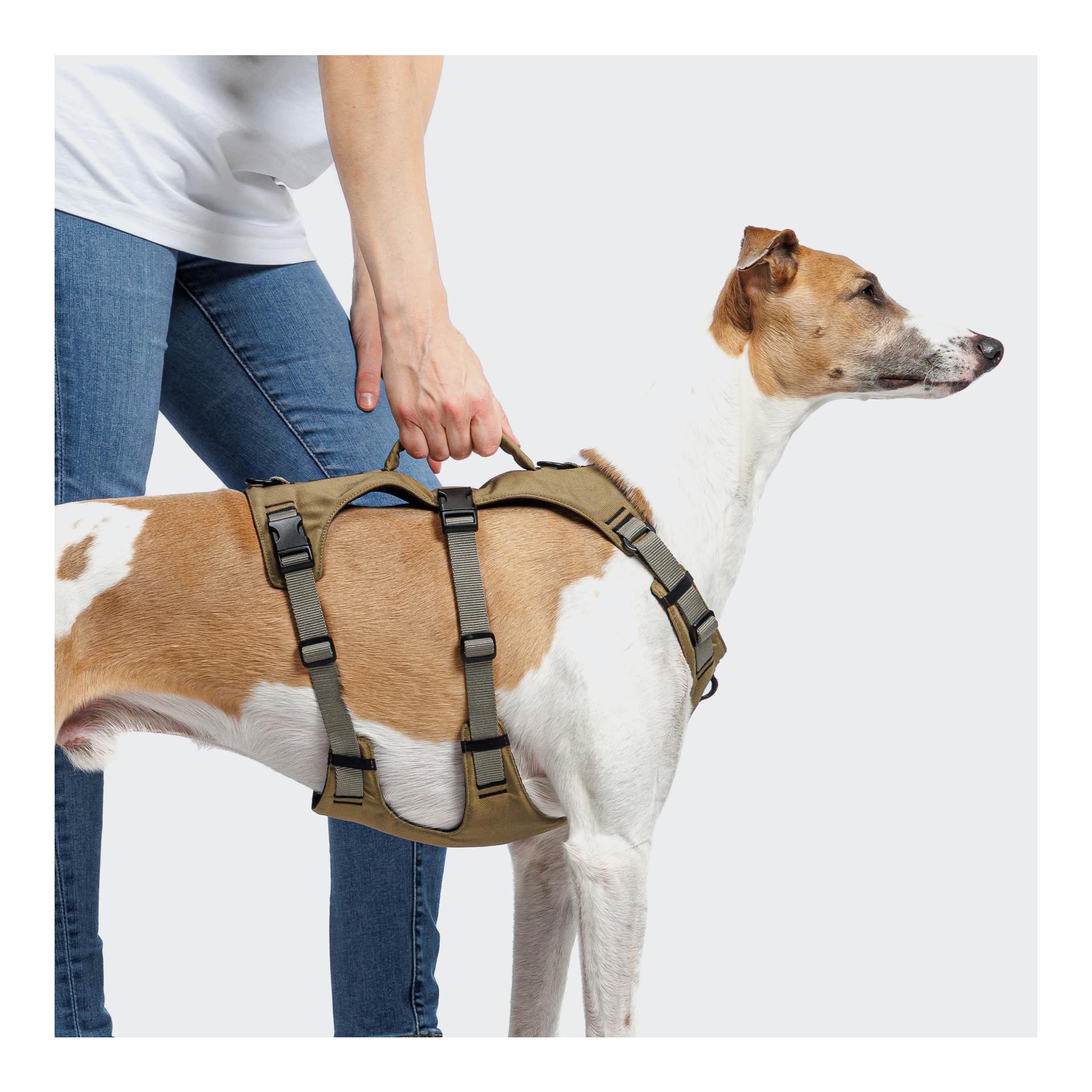 Y-Safe-Hundegeschirr