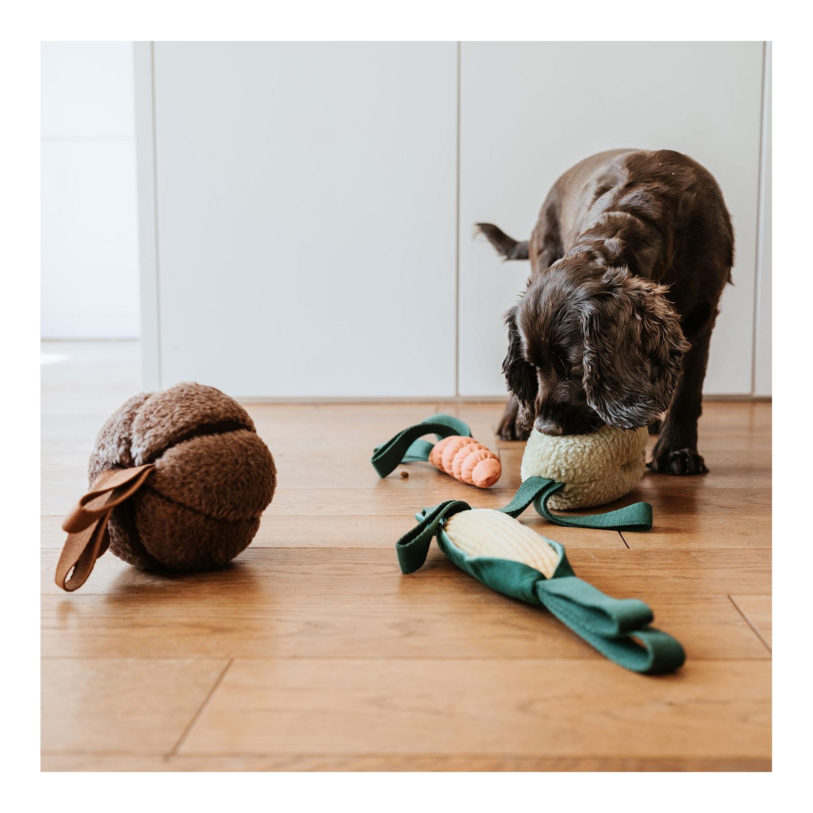 Hundespielzeug Venice Zwiebel