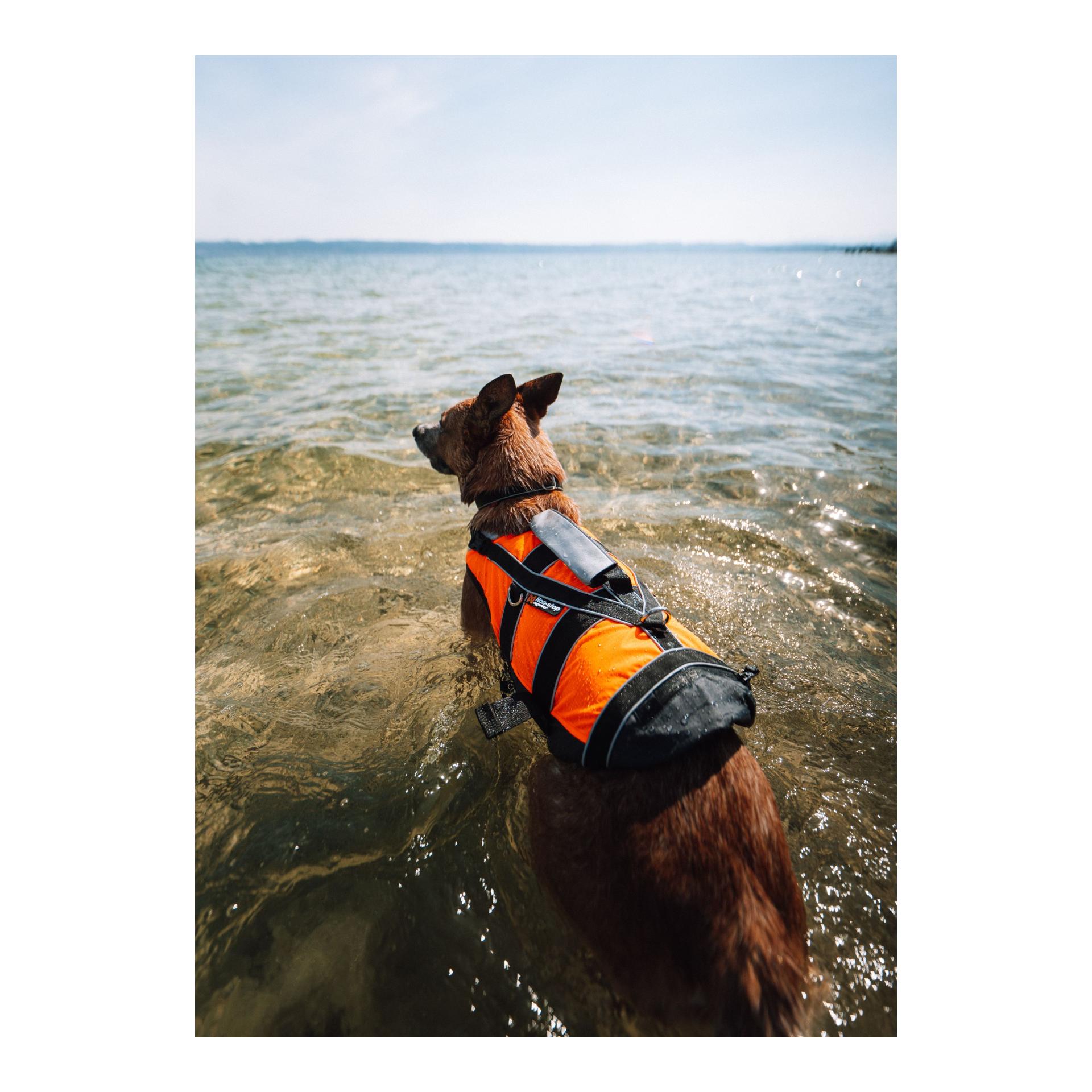 Safe Life Jacket 2.0 Hundeschwimmweste - orange 